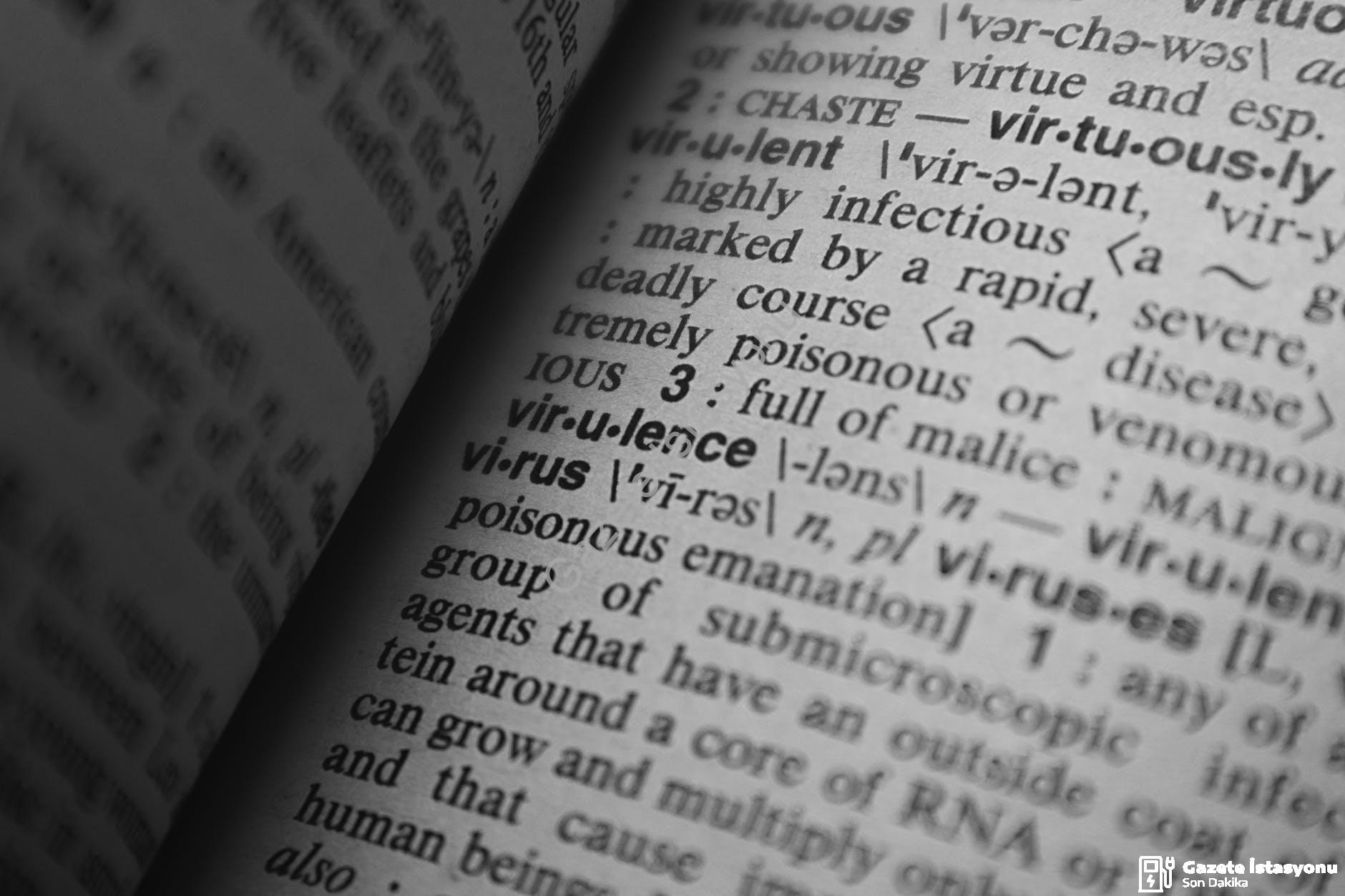 Englico.com.tr: İngilizce Kelime Oyunlarının Adresi