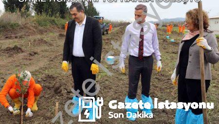 Dalaman Açık Cezaevi’nde Üretim Hamlesi: Sakız Ağaçları Toprakla Buluştu