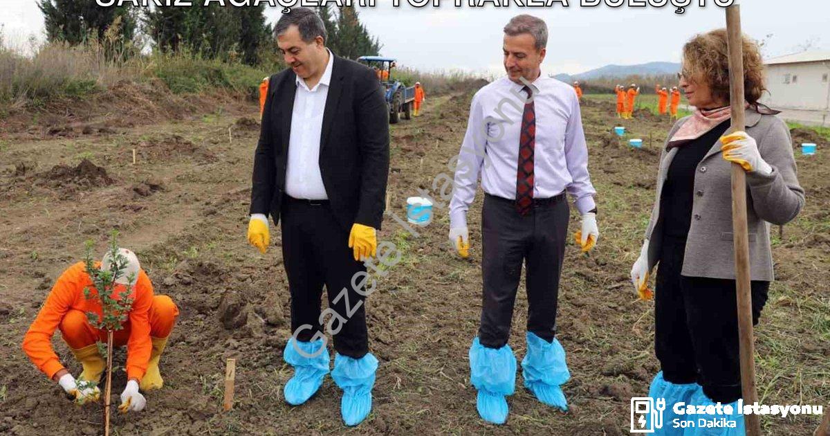 "Dalaman Açık Cezaevi'nde Üretim Hamlesi: Sakız Ağaçları Toprakla Buluştu" başlıklı haber için fotor