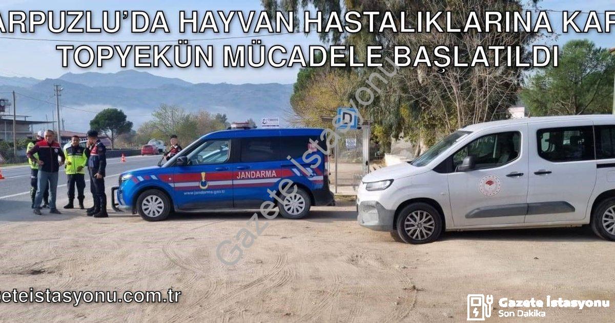"Karpuzlu’da Hayvan Hastalıklarına Karşı Topyekün Mücadele Başlatıldı" başlıklı haber için fotoreali