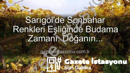 Sarıgöl’de Sonbahar Renkleri Eşliğinde Budama Zamanı: Doğanın Kucağında Üretim Sürüyor