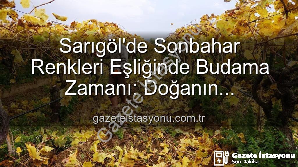 Sarıgöl budama - Sarıgöl'de Sonbahar Renkleri Eşliğinde Budama Zamanı: Doğanın Kucağında Üretim Sürüyor