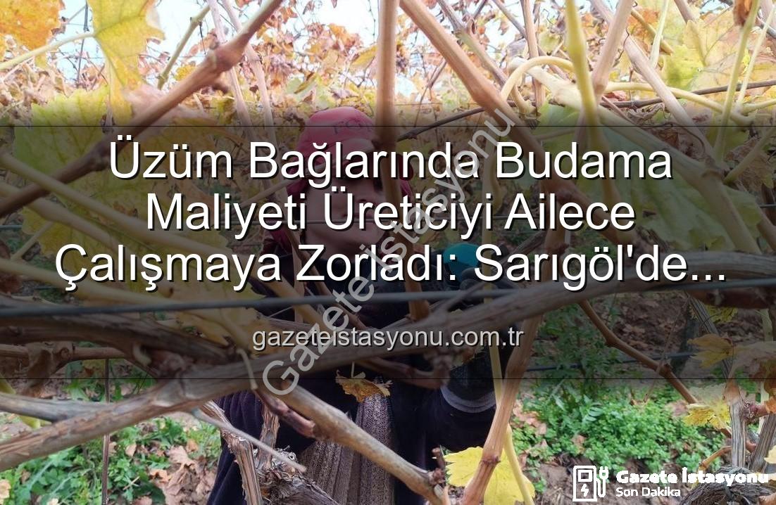 Üzüm Bağlarında Budama Maliyeti Üreticiyi Ailece Çalışmaya Zorladı: Sarıgöl'de Yeni Dönem