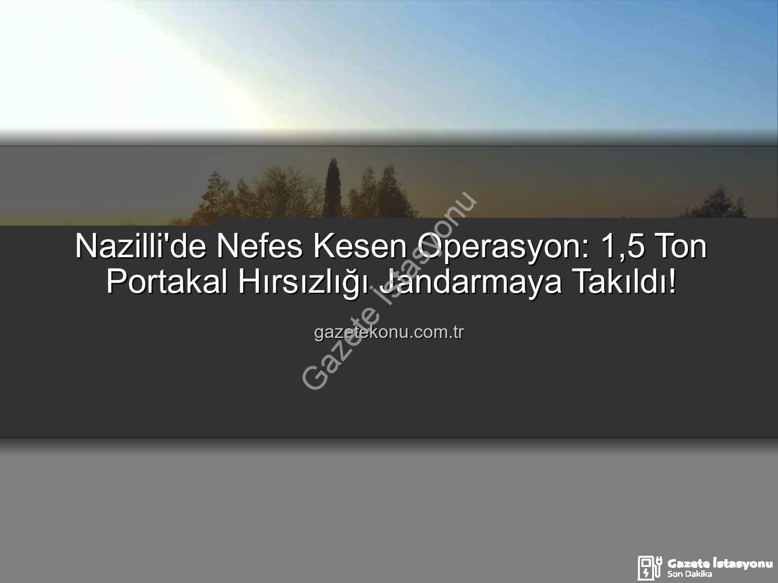 portakal hırsızlığı - Nazilli'de 1,5 Ton Portakalın Gizemli Kayboluşu: Jandarma Başarılı Operasyonla Aydın'da Yakaladı