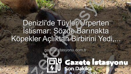 Denizli’de Tüyler Ürperten İstismar: Sözde Barınakta Köpekler Açlıktan Birbirini Yedi, Yurt Dışı Bağışlar Kayıp!