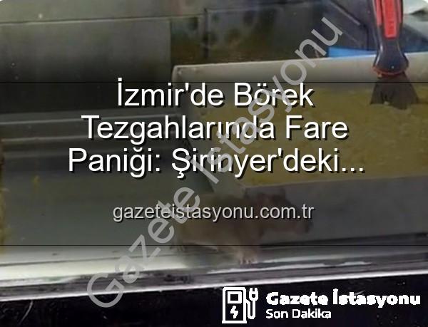börek tezgahlarında fare - İzmir'de Börek Tezgahlarında Fare Paniği: Şirinyer'deki İşletmeye Mühür Vuruldu
