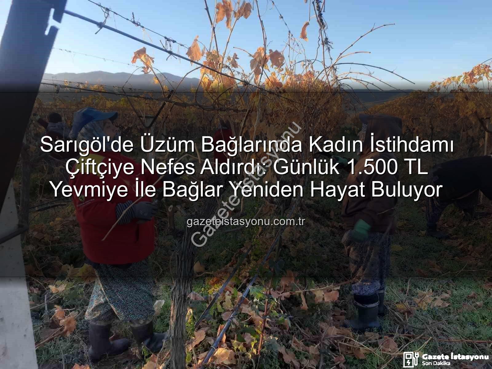 kadın istihdamı - Sarıgöl'de Üzüm Bağlarında Kadın İstihdamı Çiftçiye Nefes Aldırdı: Günlük 1.500 TL Yevmiye İle Bağlar Yeniden Hayat Buluyor