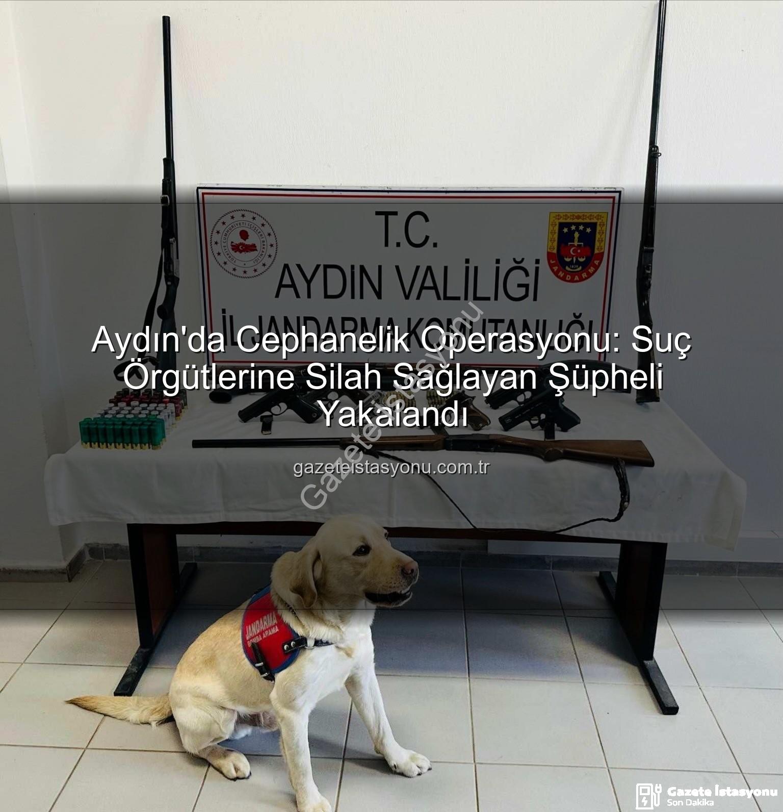 ruhsatsız silah operasyonu - Aydın'da Cephanelik Operasyonu: Suç Örgütlerine Silah Sağlayan Şüpheli Yakalandı