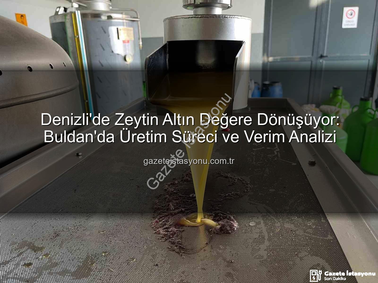 zeytin yağı üretimi - Denizli'de Zeytin Altın Değere Dönüşüyor: Buldan'da Üretim Süreci ve Verim Analizi
