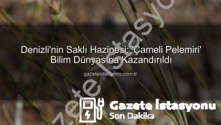 Denizli’nin Saklı Hazinesi: ‘Çameli Pelemiri’ Bilim Dünyasına Kazandırıldı