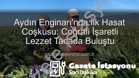 Aydın Enginarı’nda İlk Hasat Coşkusu: Coğrafi İşaretli Lezzet Tarlada Buluştu