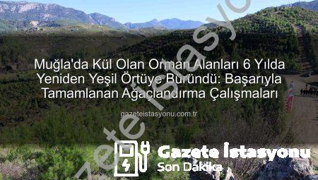 Muğla’da Kül Olan Orman Alanları 6 Yılda Yeniden Yeşil Örtüye Büründü: Başarıyla Tamamlanan Ağaçlandırma Çalışmaları