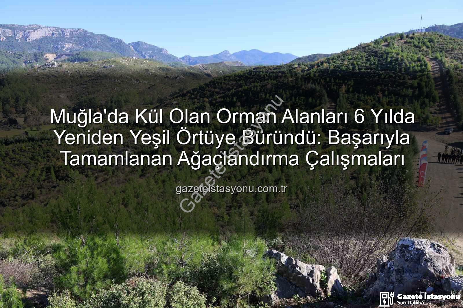 orman ağaçlandırma - Muğla'da Kül Olan Orman Alanları 6 Yılda Yeniden Yeşil Örtüye Büründü: Başarıyla Tamamlanan Ağaçlandırma Çalışmaları
