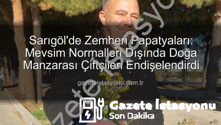 Sarıgöl’de Zemheri Papatyaları: Mevsim Normalleri Dışında Doğa Manzarası Çiftçileri Endişelendirdi