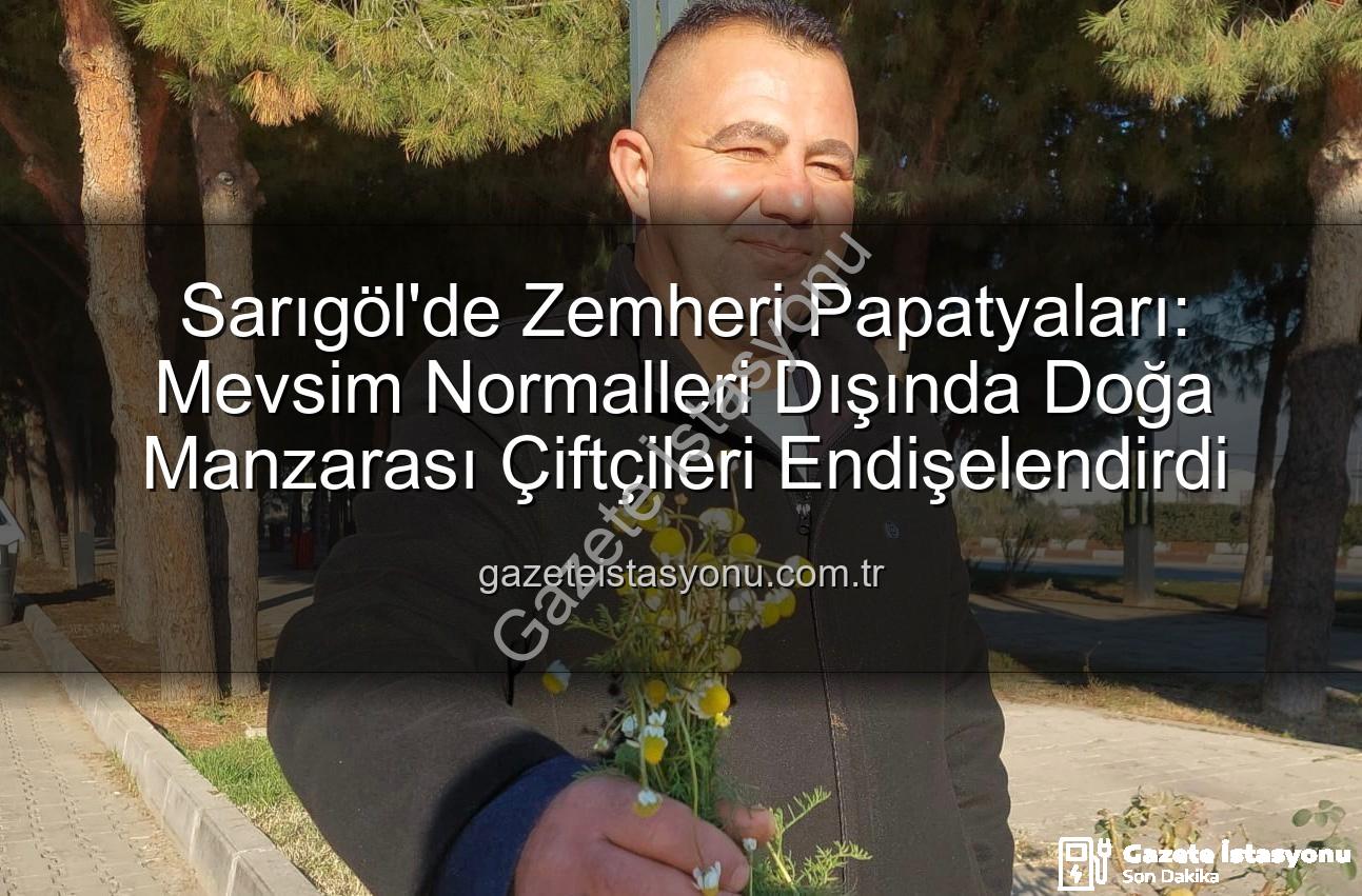 zemheri papatyaları - Sarıgöl'de Zemheri Papatyaları: Mevsim Normalleri Dışında Doğa Manzarası Çiftçileri Endişelendirdi